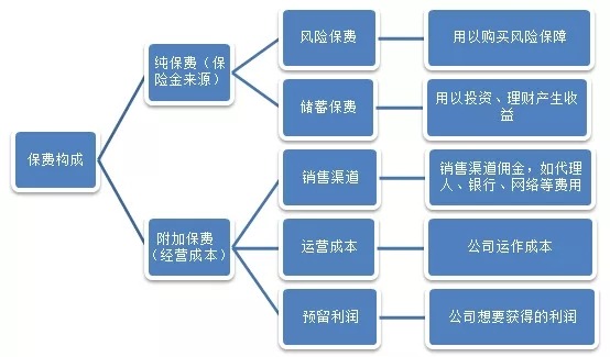 我们交的保费去哪儿了