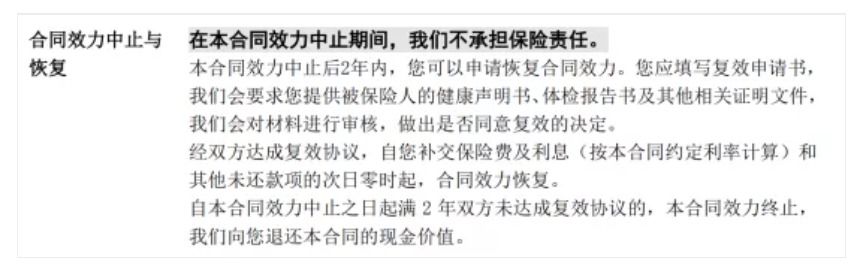 保险中的7个期限分别是什么意思