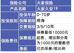 大家久安19终身寿险怎么样