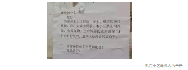 为什么不买保险就不让养狗？