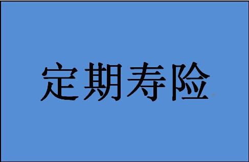 定期寿险怎么选比较好？