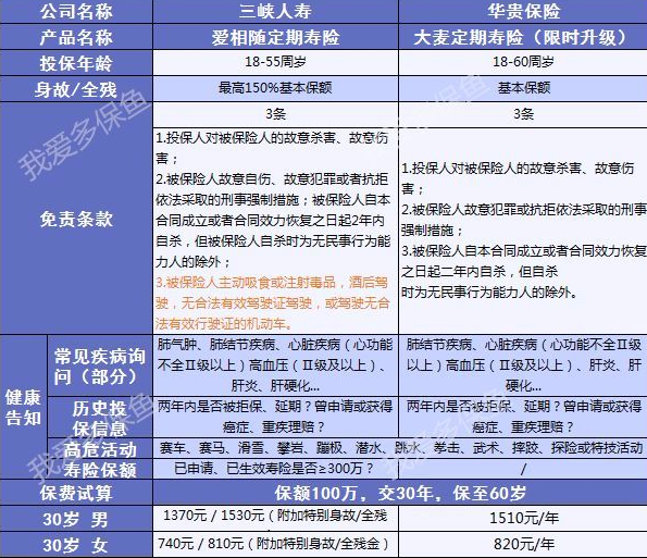 爱相随定期寿险：2019最值得买的寿险